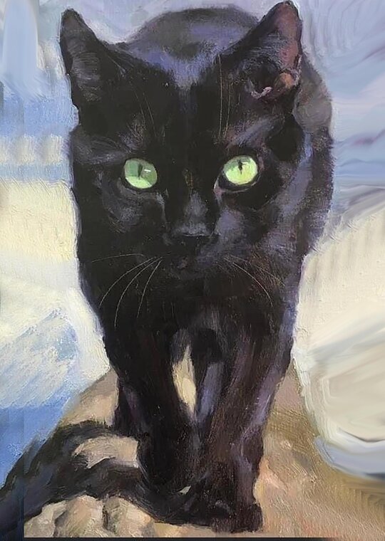 Интерьерная картина Пират